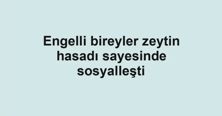 Engelli bireyler zeytin hasadı sayesinde sosyalleşti