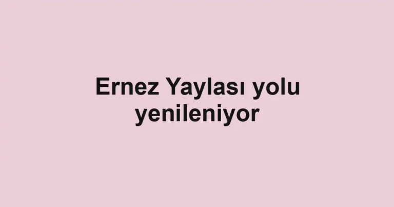 Ernez Yaylası yolu yenileniyor