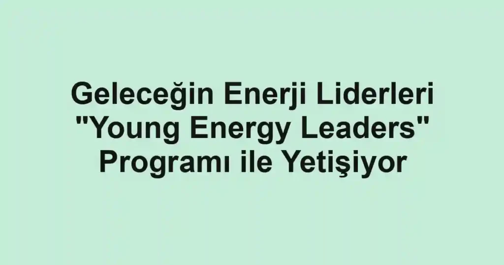 Geleceğin Enerji Liderleri "Young Energy Leaders" Programı ile Yetişiyor