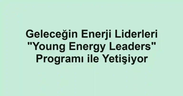 Geleceğin Enerji Liderleri "Young Energy Leaders" Programı ile Yetişiyor