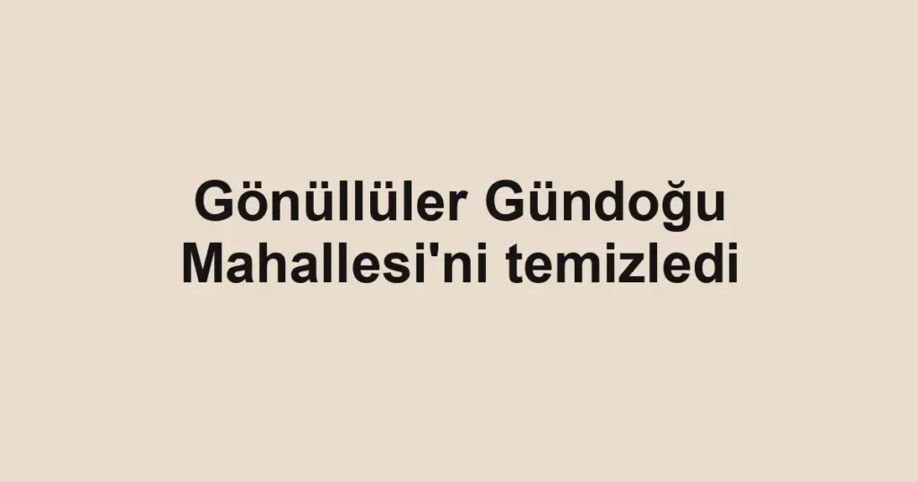 Gönüllüler Gündoğu Mahallesi'ni temizledi