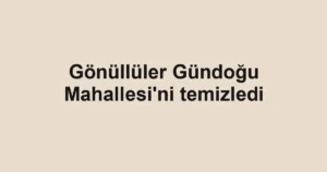 Gönüllüler Gündoğu Mahallesi'ni temizledi