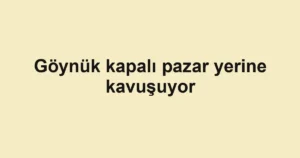 Göynük kapalı pazar yerine kavuşuyor