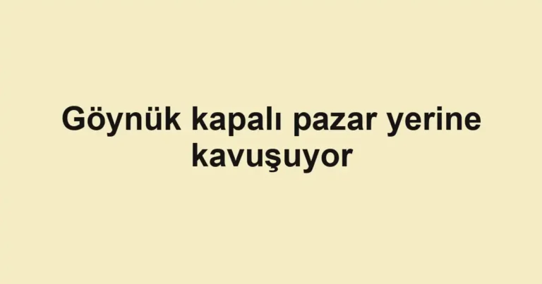 Göynük kapalı pazar yerine kavuşuyor