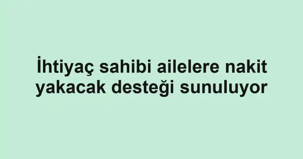 İhtiyaç sahibi ailelere nakit yakacak desteği sunuluyor
