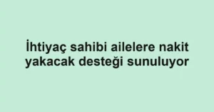 İhtiyaç sahibi ailelere nakit yakacak desteği sunuluyor