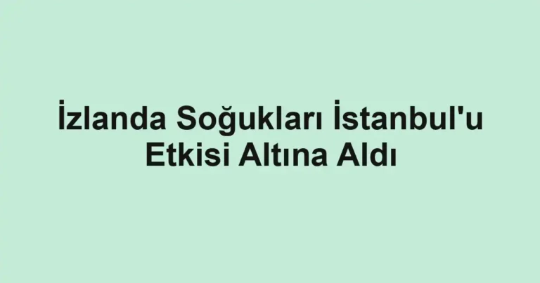 İzlanda Soğukları İstanbul'u Etkisi Altına Aldı