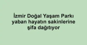 İzmir Doğal Yaşam Parkı yaban hayatın sakinlerine şifa dağıtıyor
