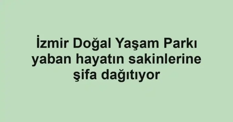 İzmir Doğal Yaşam Parkı yaban hayatın sakinlerine şifa dağıtıyor