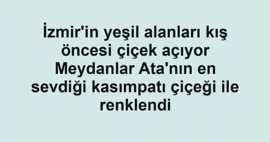 İzmir'in yeşil alanları kış öncesi çiçek açıyor Meydanlar Ata'nın en sevdiği kasımpatı çiçeği ile renklendi