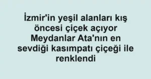 İzmir'in yeşil alanları kış öncesi çiçek açıyor Meydanlar Ata'nın en sevdiği kasımpatı çiçeği ile renklendi