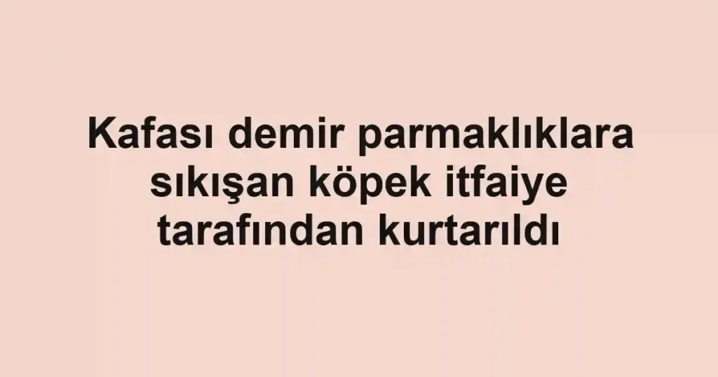 Kafası demir parmaklıklara sıkışan köpek itfaiye tarafından kurtarıldı