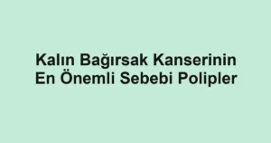 Kalın Bağırsak Kanserinin En Önemli Sebebi Polipler