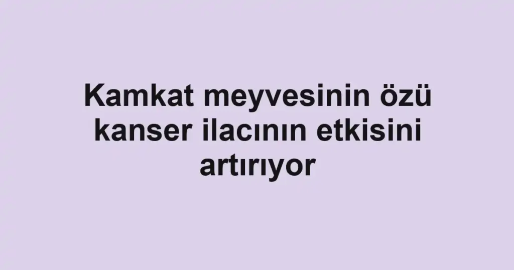 Kamkat meyvesinin özü kanser ilacının etkisini artırıyor