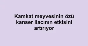 Kamkat meyvesinin özü kanser ilacının etkisini artırıyor