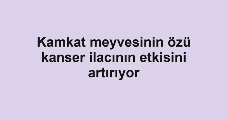 Kamkat meyvesinin özü kanser ilacının etkisini artırıyor