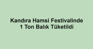 Kandıra Hamsi Festivalinde 1 Ton Balık Tüketildi