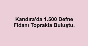 Kandıra'da 1.500 Defne Fidanı Toprakla Buluştu.