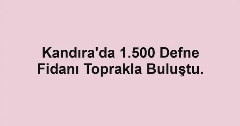 Kandıra'da 1.500 Defne Fidanı Toprakla Buluştu.