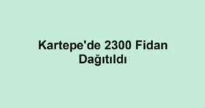 Kartepe'de 2300 Fidan Dağıtıldı