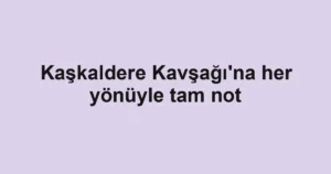 Kaşkaldere Kavşağı'na her yönüyle tam not