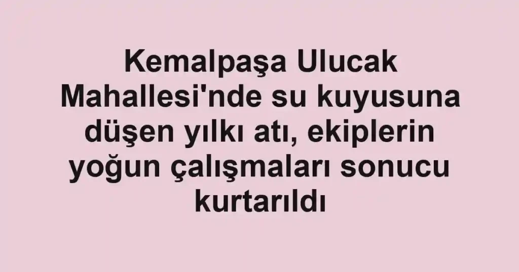 Kemalpaşa Ulucak Mahallesi'nde su kuyusuna düşen yılkı atı, ekiplerin yoğun çalışmaları sonucu kurtarıldı