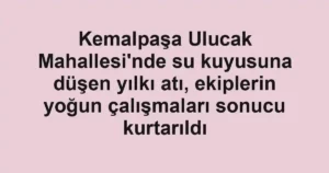Kemalpaşa Ulucak Mahallesi'nde su kuyusuna düşen yılkı atı, ekiplerin yoğun çalışmaları sonucu kurtarıldı