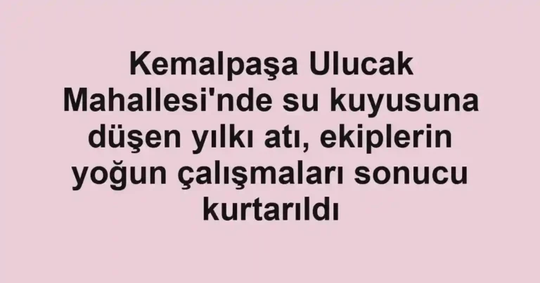 Kemalpaşa Ulucak Mahallesi'nde su kuyusuna düşen yılkı atı, ekiplerin yoğun çalışmaları sonucu kurtarıldı