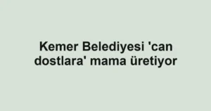 Kemer Belediyesi 'can dostlara' mama üretiyor