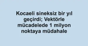 Kocaeli sineksiz bir yıl geçirdi; Vektörle mücadelede 1 milyon noktaya müdahale