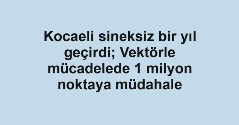 Kocaeli sineksiz bir yıl geçirdi; Vektörle mücadelede 1 milyon noktaya müdahale