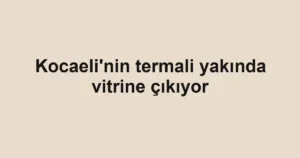 Kocaeli'nin termali yakında vitrine çıkıyor