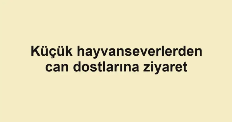 Küçük hayvanseverlerden can dostlarına ziyaret