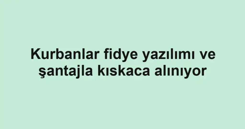 Kurbanlar fidye yazılımı ve şantajla kıskaca alınıyor