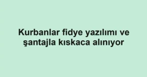 Kurbanlar fidye yazılımı ve şantajla kıskaca alınıyor