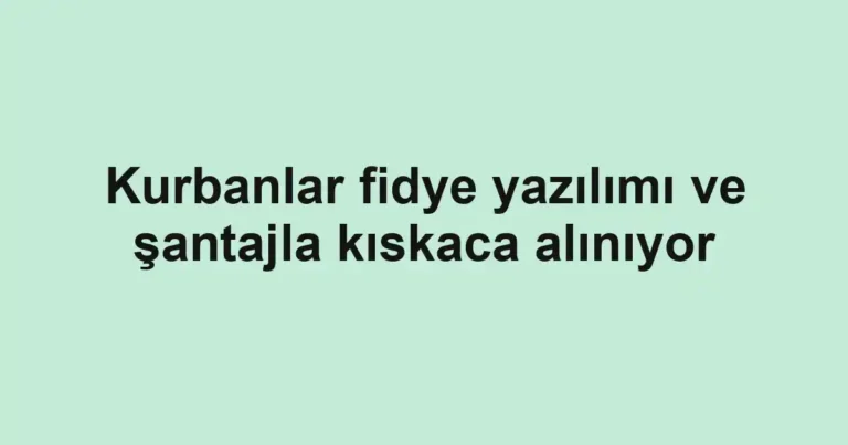 Kurbanlar fidye yazılımı ve şantajla kıskaca alınıyor