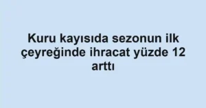 Kuru kayısıda sezonun ilk çeyreğinde ihracat yüzde 12 arttı
