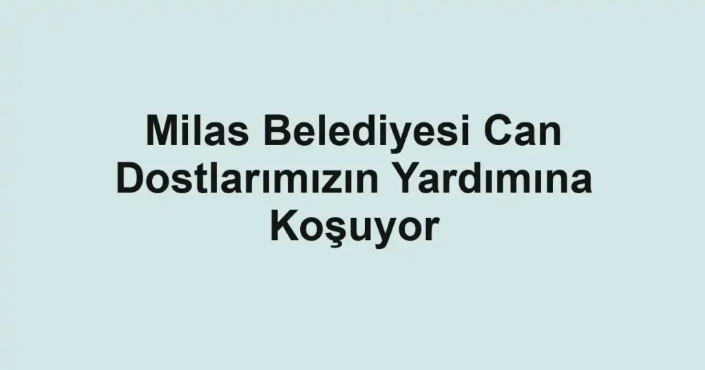 Milas Belediyesi Can Dostlarımızın Yardımına Koşuyor