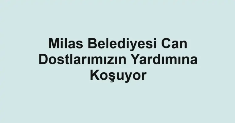 Milas Belediyesi Can Dostlarımızın Yardımına Koşuyor