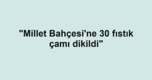 "Millet Bahçesi'ne 30 fıstık çamı dikildi"