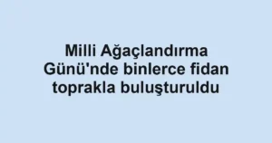 Milli Ağaçlandırma Günü'nde binlerce fidan toprakla buluşturuldu