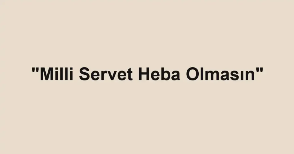 "Milli Servet Heba Olmasın"