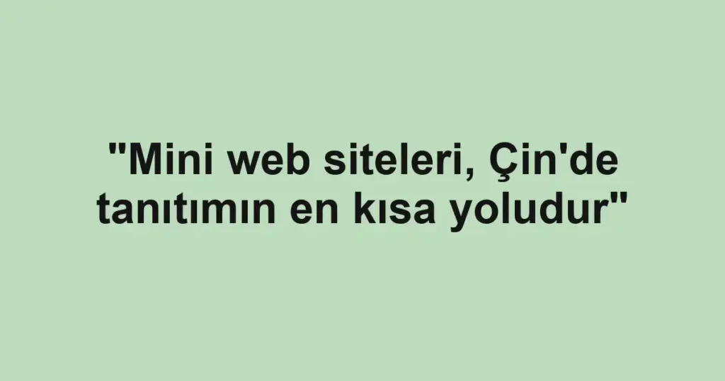 "Mini web siteleri, Çin'de tanıtımın en kısa yoludur"
