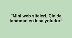 "Mini web siteleri, Çin'de tanıtımın en kısa yoludur"