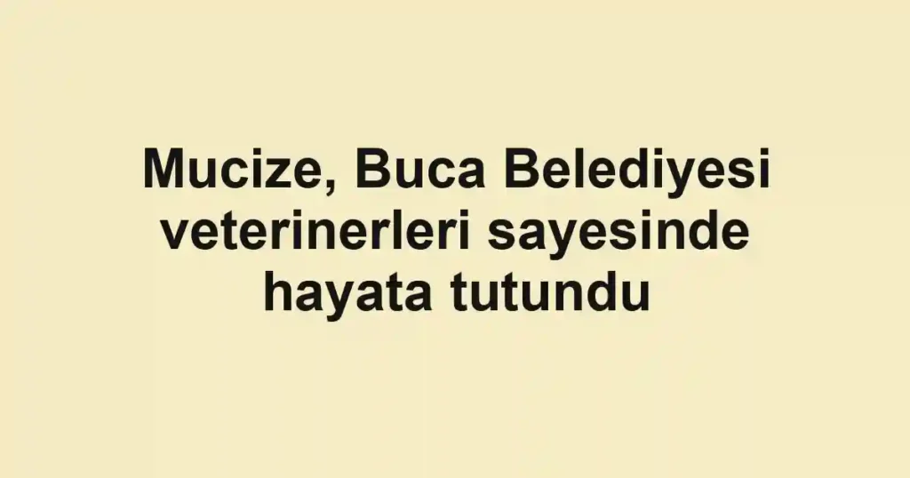 Mucize, Buca Belediyesi veterinerleri sayesinde hayata tutundu