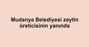 Mudanya Belediyesi zeytin üreticisinin yanında