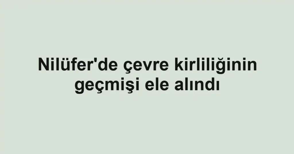 Nilüfer'de çevre kirliliğinin geçmişi ele alındı