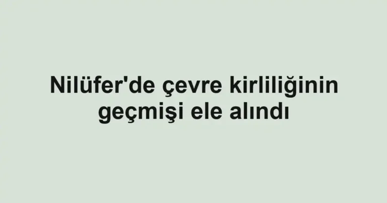 Nilüfer'de çevre kirliliğinin geçmişi ele alındı