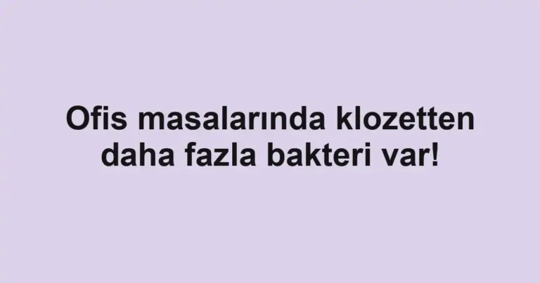 Ofis masalarında klozetten daha fazla bakteri var!