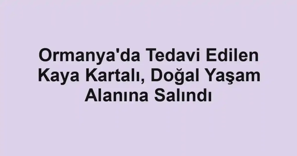 Ormanya'da Tedavi Edilen Kaya Kartalı, Doğal Yaşam Alanına Salındı